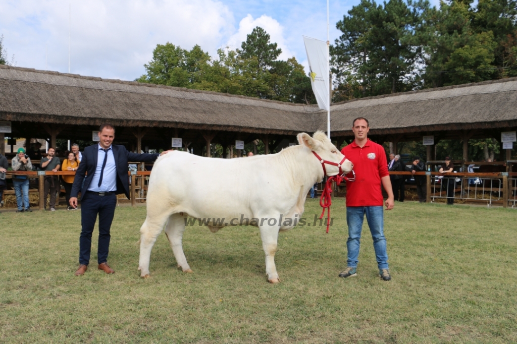 Hódmezővásárhely 2021