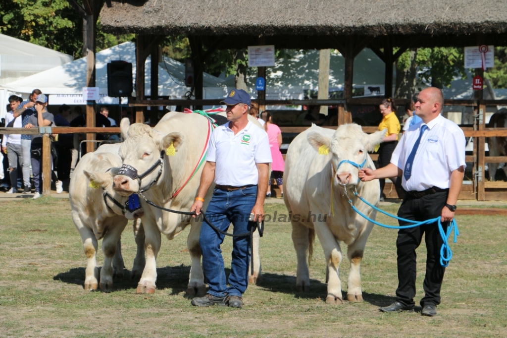 Hódmezővásárhely 2021