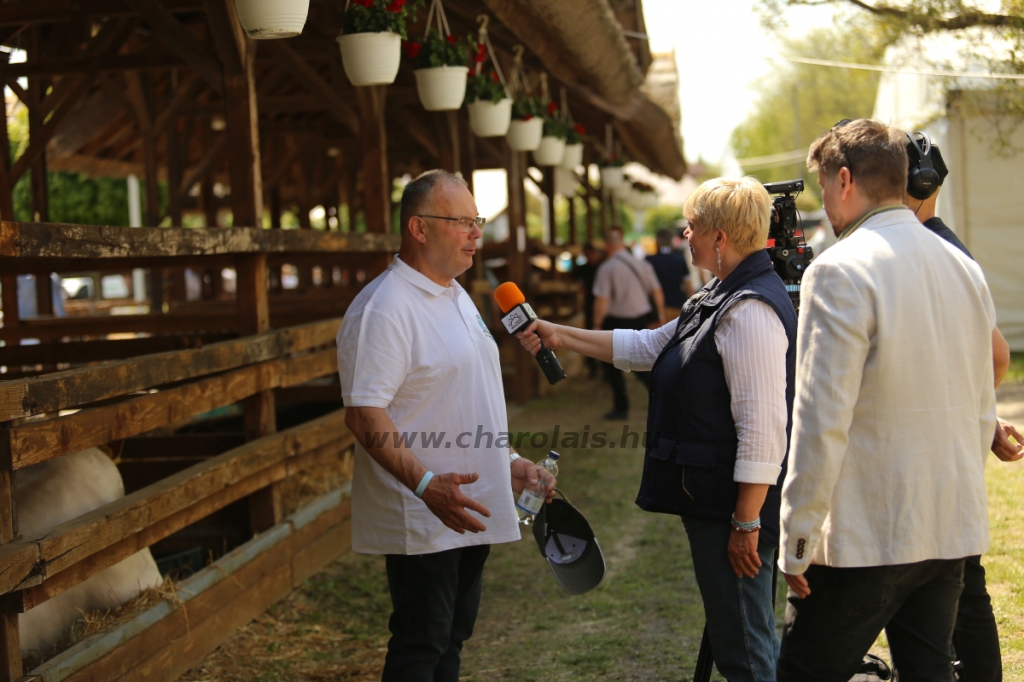 Hódmezővásárhely 2022