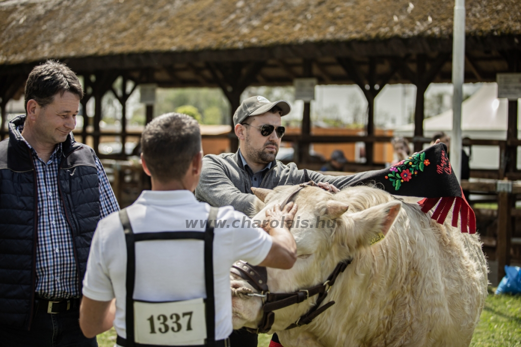 Hódmezővásárhely 2023