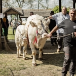 Hódmezővásárhely 2023