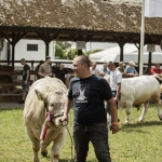 Hódmezővásárhely 2023