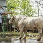 Hódmezővásárhely 2023