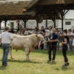 Hódmezővásárhely 2023