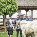 Hódmezővásárhely 2023