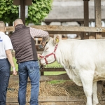 Hódmezővásárhely 2023