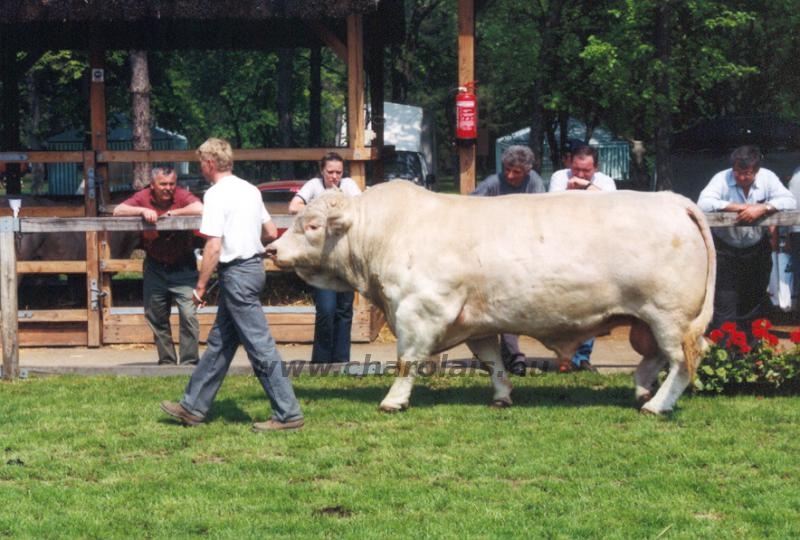 Hódmezõvásárhely 2004.