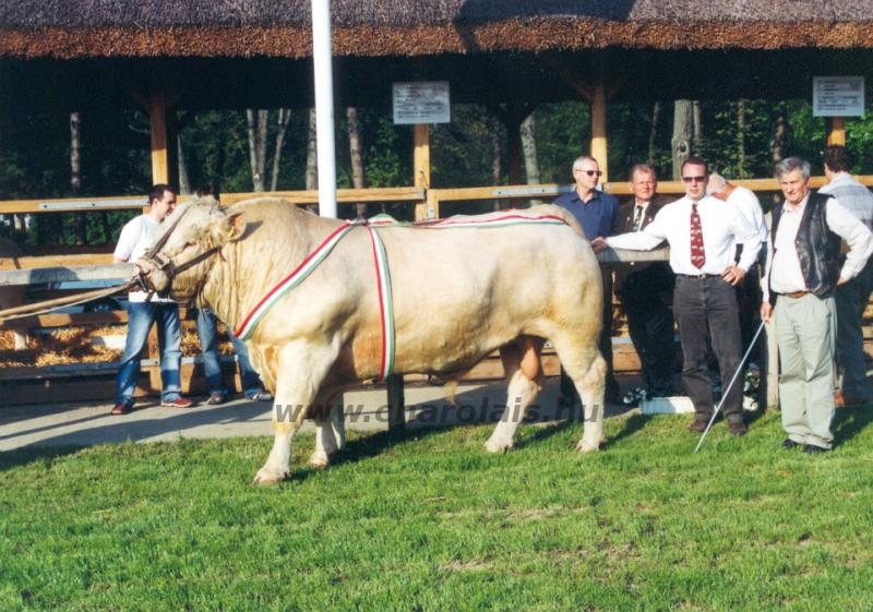 Hódmezõvásárhely 2004.