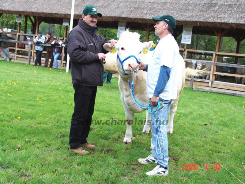 Hódmezõvásárhely 2005
