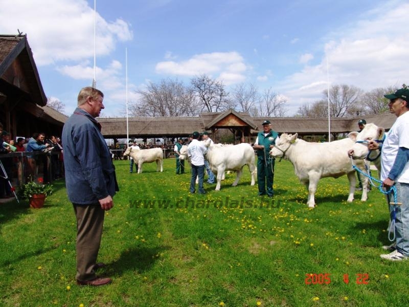 Hódmezõvásárhely 2005