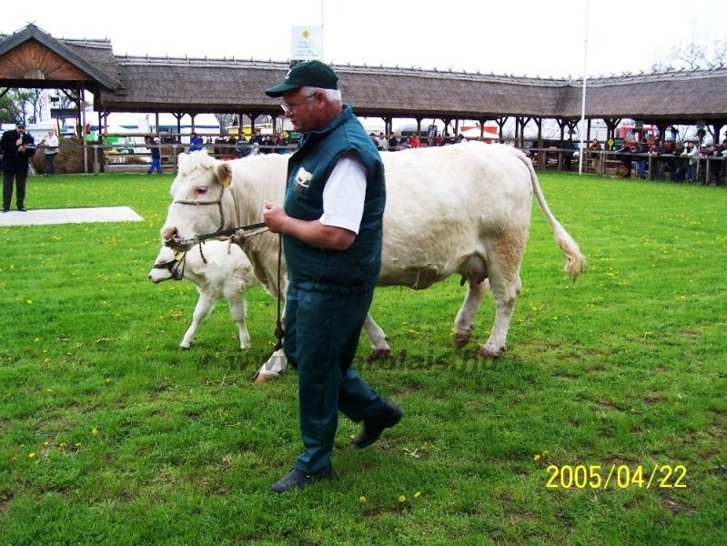 Hódmezõvásárhely 2005