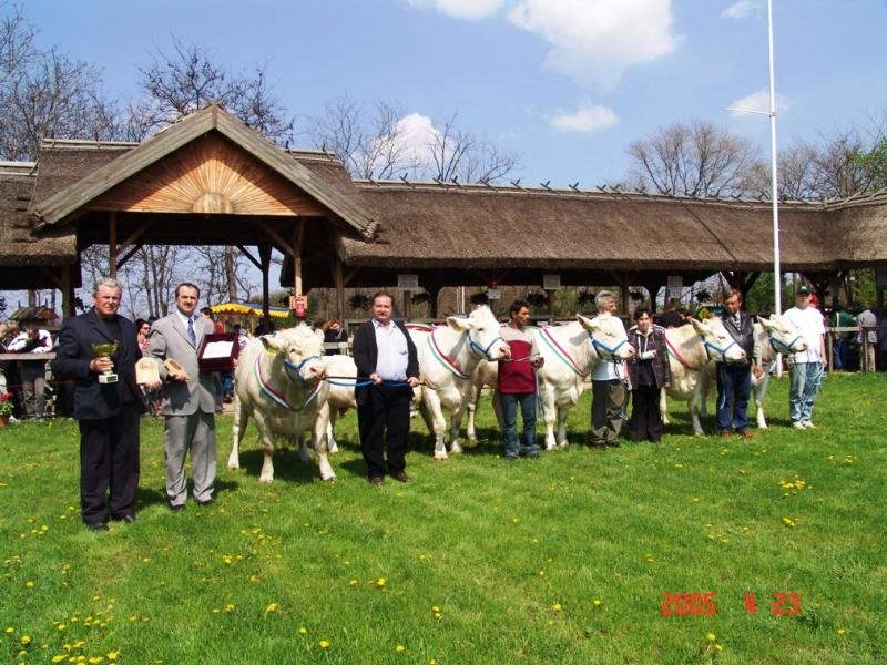 Hódmezõvásárhely 2005