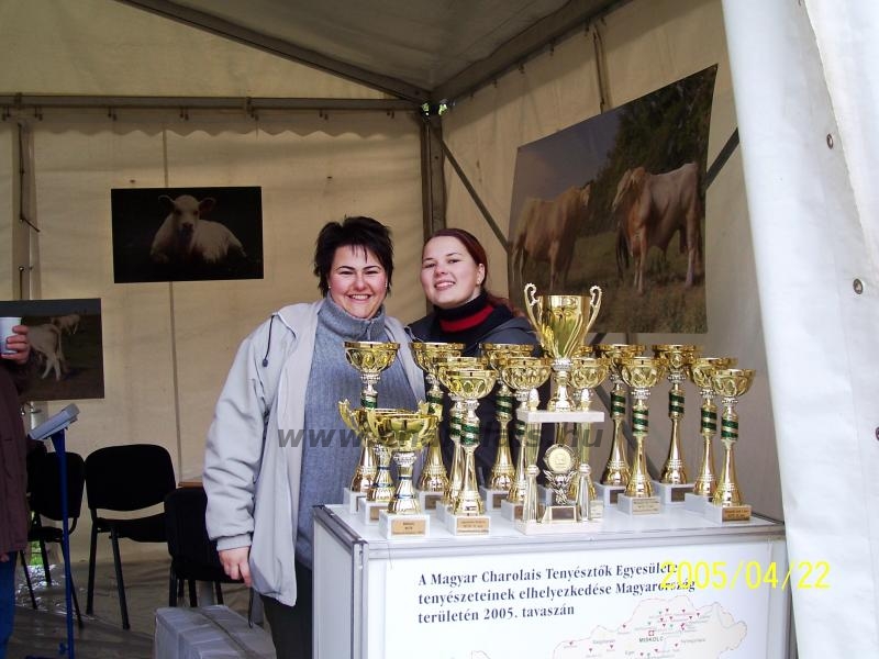 Hódmezõvásárhely 2005