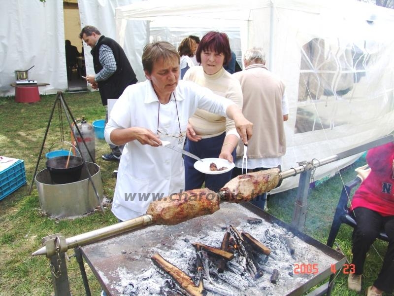 Hódmezõvásárhely 2005