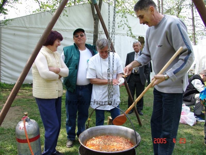 Hódmezõvásárhely 2005