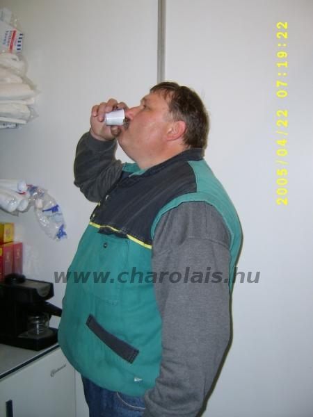 Hódmezõvásárhely 2005