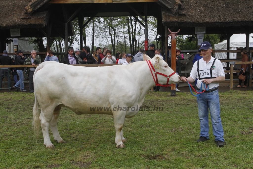 javahmvhely2014kis
