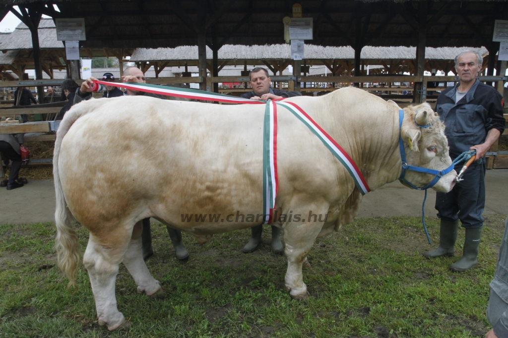 javahmvhely2014kis