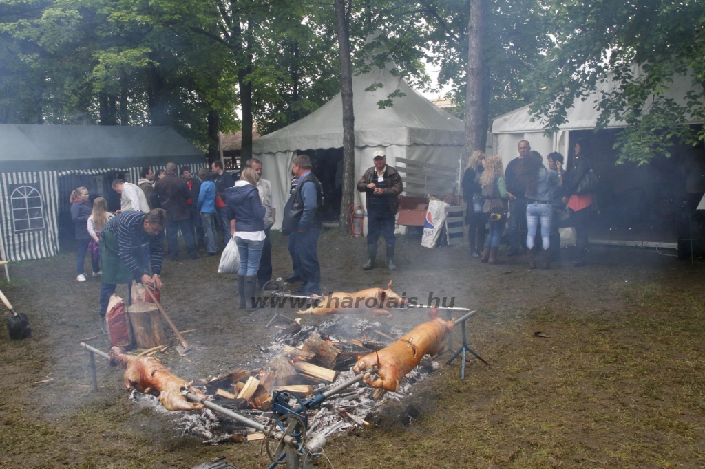 javahmvhely2014kis