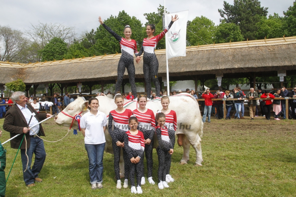 javahmvhely2014kis