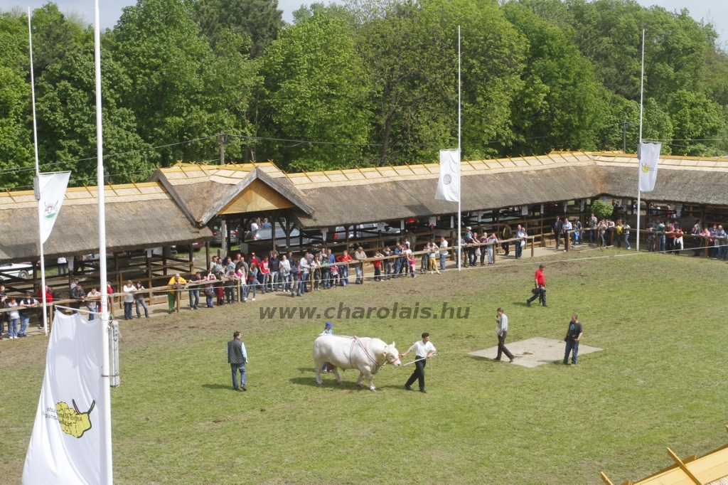 javahmvhely2014kis