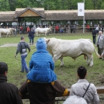 javahmvhely2014kis