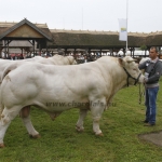 javahmvhely2014kis