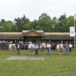 javahmvhely2014kis