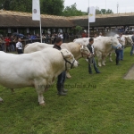 javahmvhely2014kis