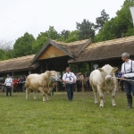 javahmvhely2014kis