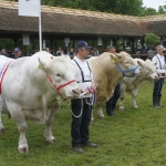 javahmvhely2014kis