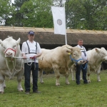 javahmvhely2014kis