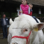 javahmvhely2014kis