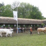 javahmvhely2014kis