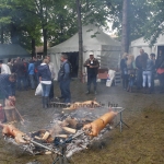 javahmvhely2014kis