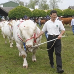 javahmvhely2014kis
