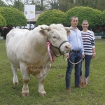 javahmvhely2014kis