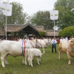javahmvhely2014kis
