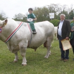 javahmvhely2014kis
