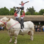 javahmvhely2014kis