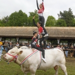 javahmvhely2014kis