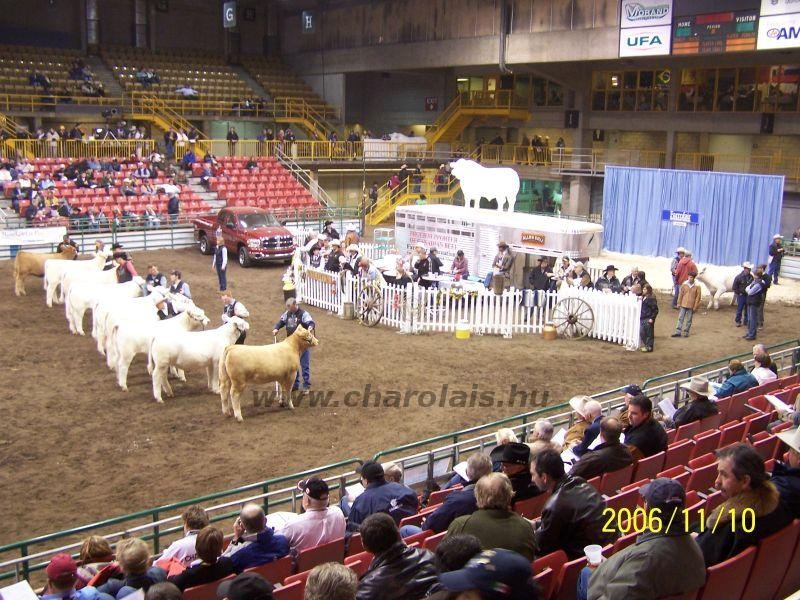 Kanada WCC 2006. nov. 