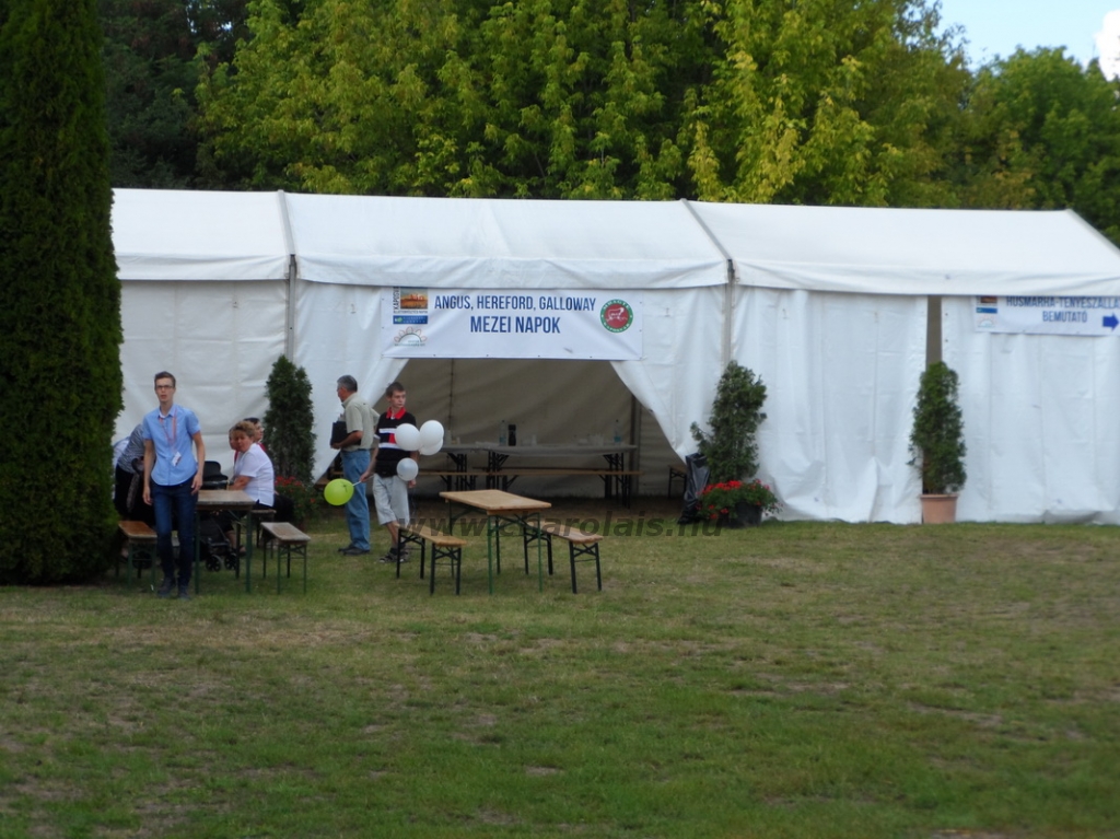 KÁN 2013