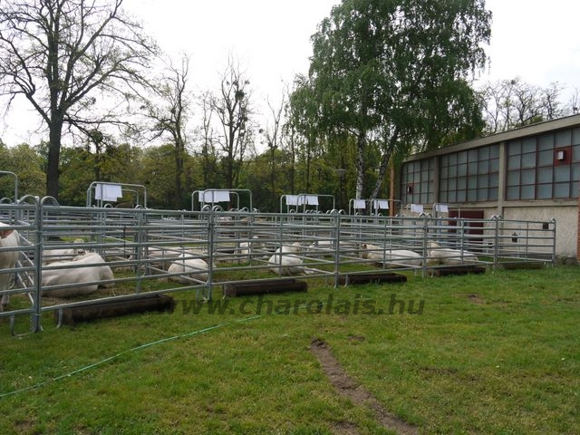 KSTV Gödöll&#245;, 2009-2010