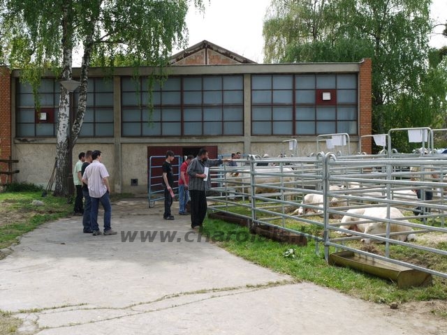 KSTV Gödöll&#245;, 2009-2010