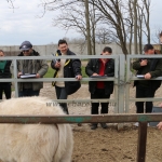 kullemi2015