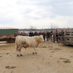 kullemi2015