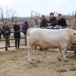 kullemi2015