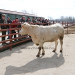 kullemi2015