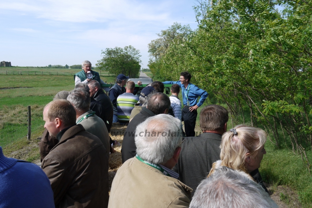 lajosmizse20140507arvereskis